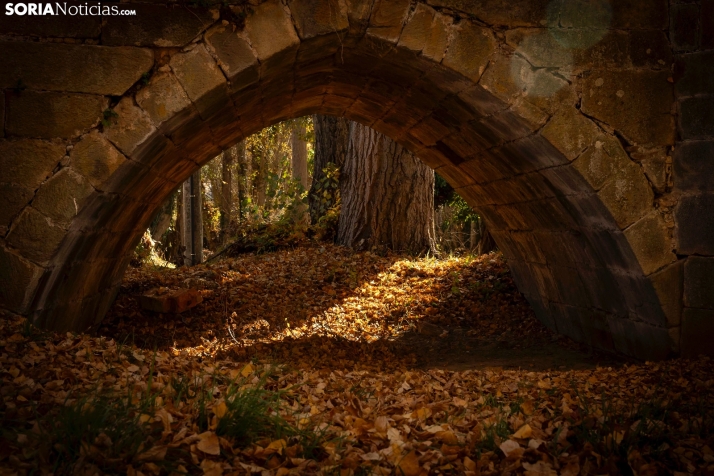 Otoño en Soria./Viksar Fotografía