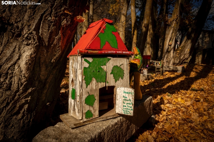 Otoño en Soria./Viksar Fotografía