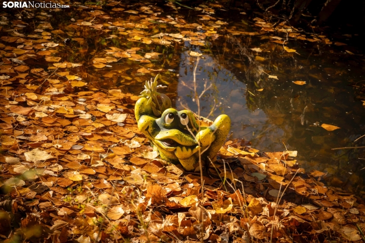 Otoño en Soria./Viksar Fotografía