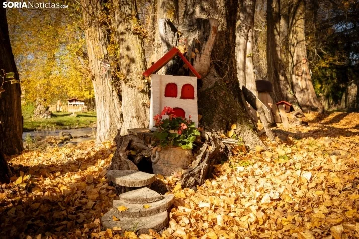 Otoño en Soria./Viksar Fotografía