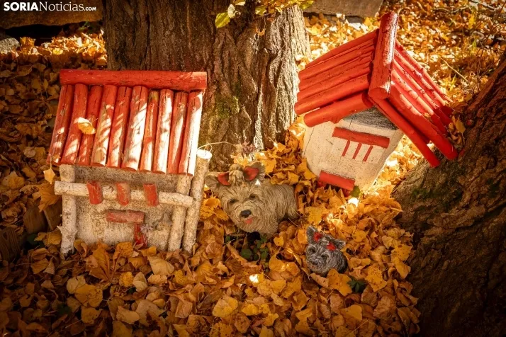Otoño en Soria./Viksar Fotografía