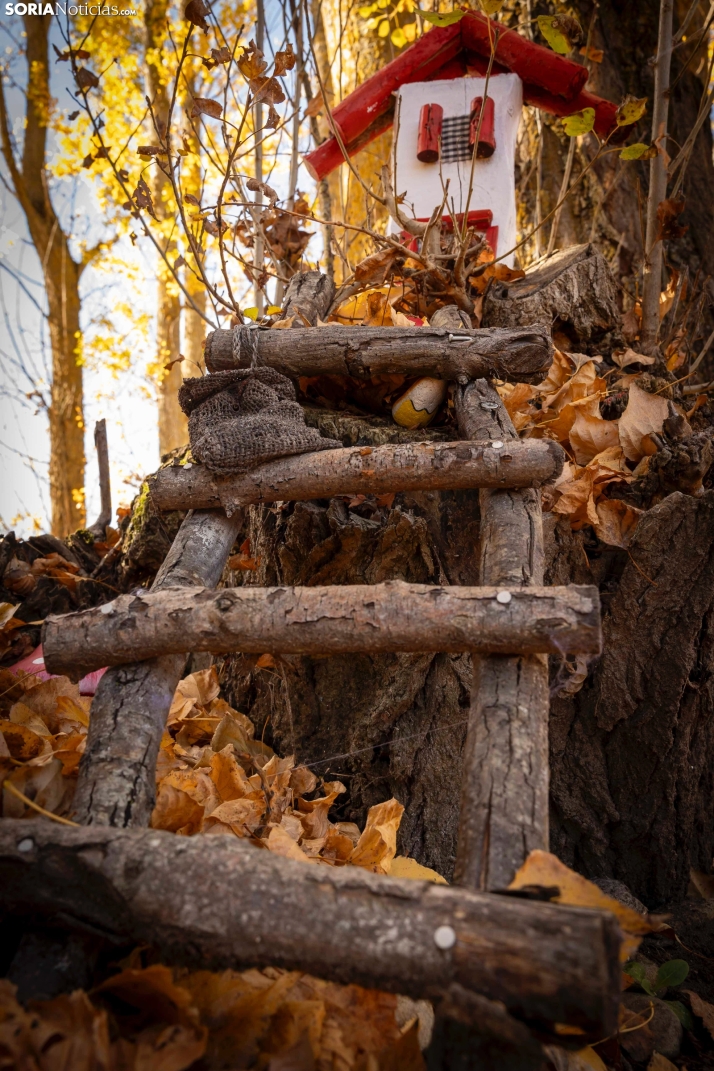 Otoño en Soria./Viksar Fotografía