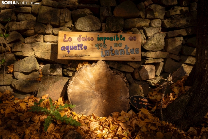 Otoño en Soria./Viksar Fotografía