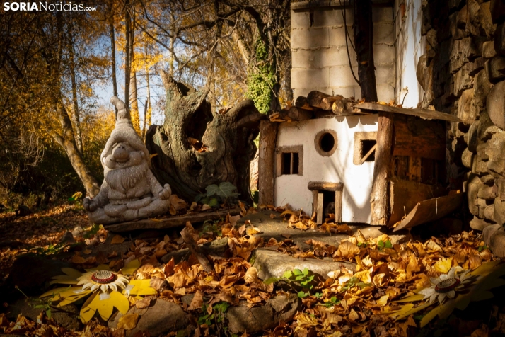 Otoño en Soria./Viksar Fotografía