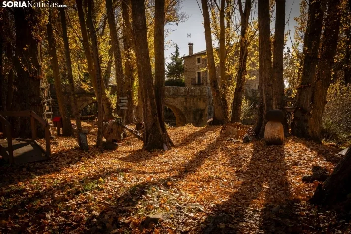 Otoño en Soria./Viksar Fotografía
