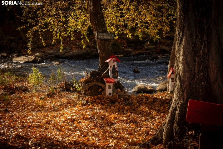 Otoño en Soria./Viksar Fotografía