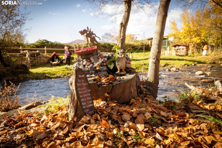 Otoño en Soria./Viksar Fotografía