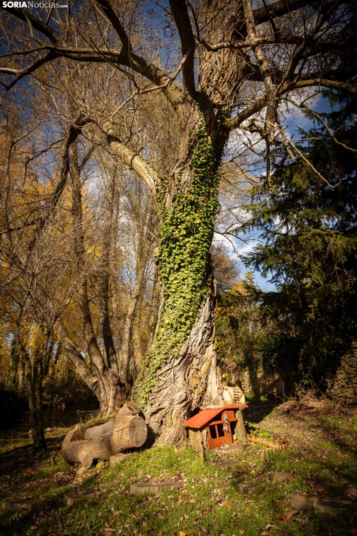 Otoño en Soria./Viksar Fotografía