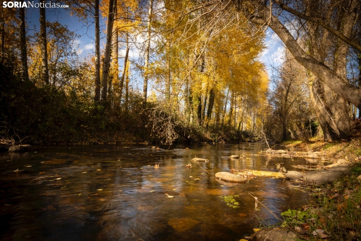 Otoño en Soria./Viksar Fotografía