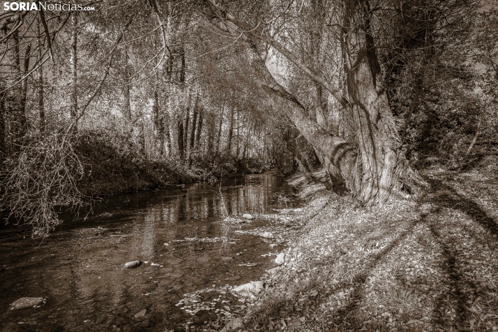 Otoño en Soria./Viksar Fotografía