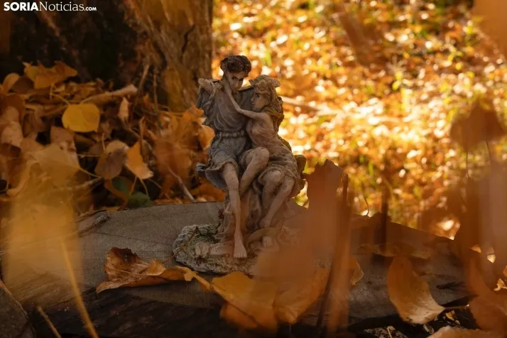 Otoño en Soria./Viksar Fotografía