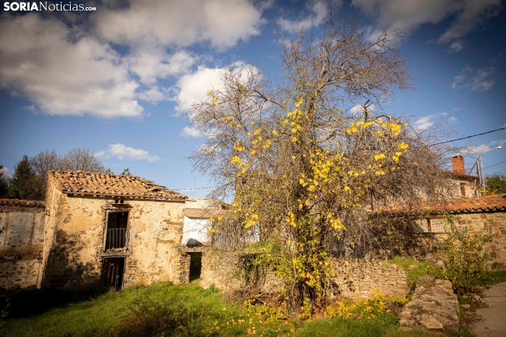 Otoño en Soria./Viksar Fotografía