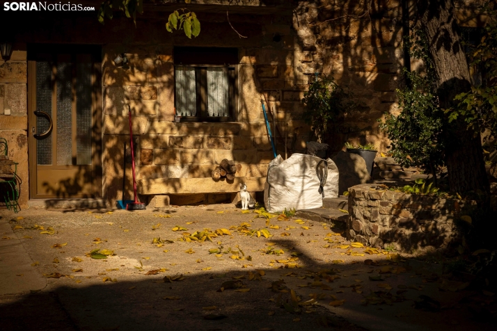 Otoño en Soria./Viksar Fotografía