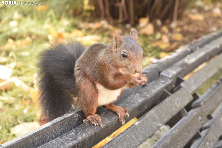 Viernes con temperaturas sorprendentes para la época del año 