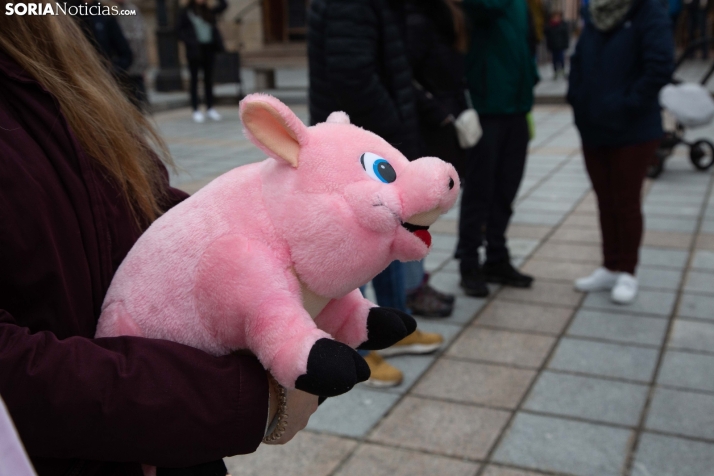 La nueva normativa de bienestar animal reducirá en 70.000 el número de cerdos sacrificados al año