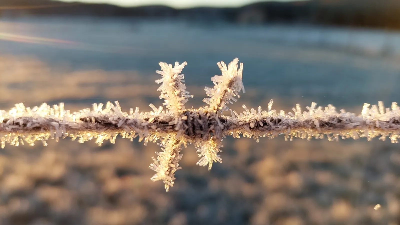 Foto 2 - Soria se ha congelado esta ma&ntilde;ana con m&iacute;nimas que han rozado los -11 grados