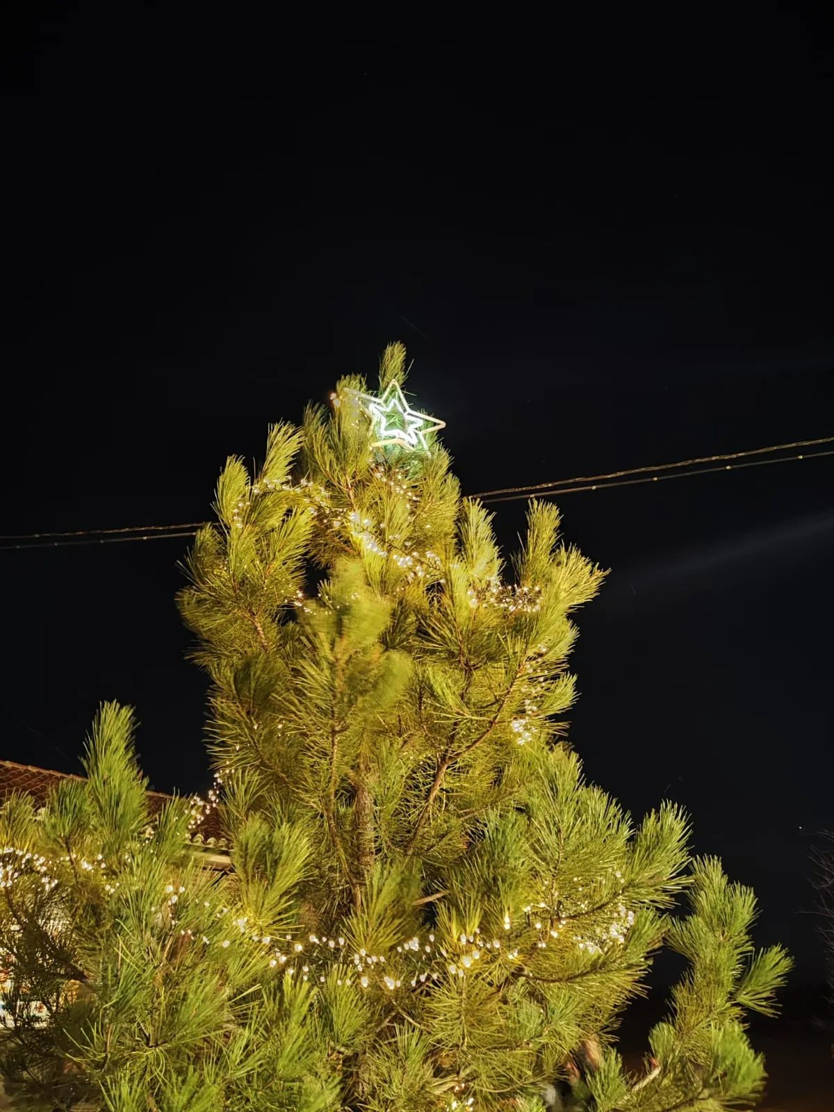 Foto 7 - Carbonera de Frentes da la bienvenida a la  Navidad con tradici&oacute;n e ilusi&oacute;n
