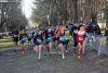 Foto 1 - Centenares de escolares de la provincia participarán en el Cross Alameda de Cervantes