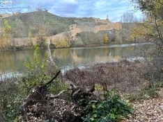 Foto 11 - Ruta: de Soria a Garray por el Duero