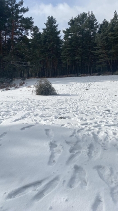 Nevada del 9 de diciembre de 2024 en el entorno de la Laguna Negra.