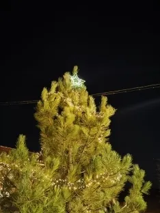 Foto 7 - Carbonera de Frentes da la bienvenida a la  Navidad con tradici&oacute;n e ilusi&oacute;n