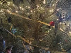 Foto 4 - Carbonera de Frentes da la bienvenida a la  Navidad con tradici&oacute;n e ilusi&oacute;n