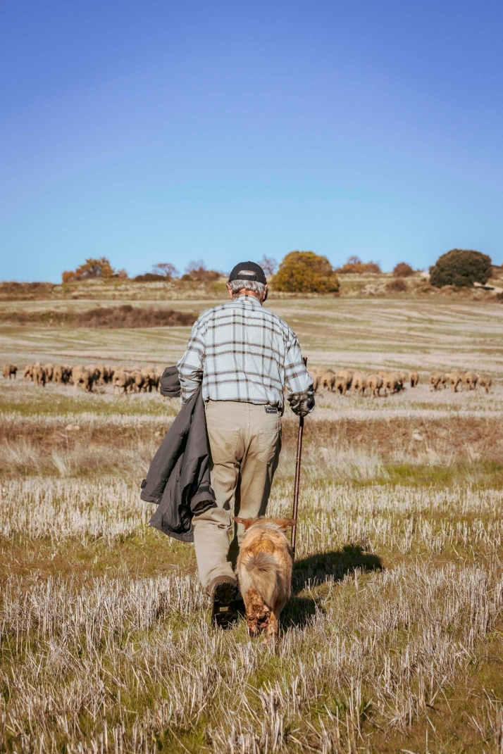 Una historia de Soria en 12 fotos, por Viksar Fotograf&iacute;a