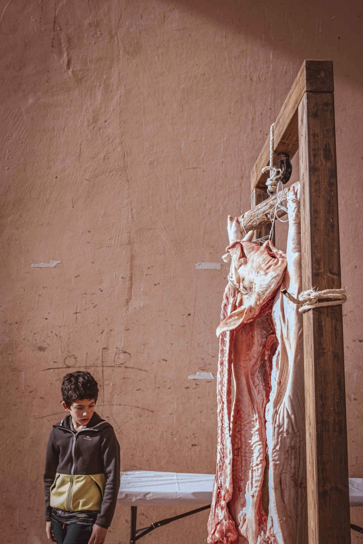 Una historia de Soria en 12 fotos, por Viksar Fotograf&iacute;a