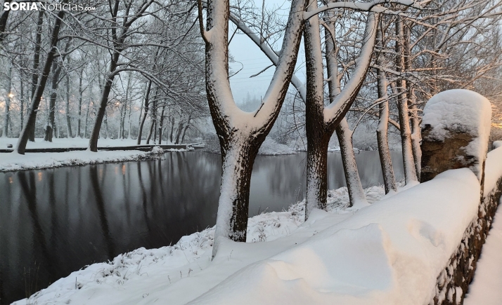 Estos pueblos de Soria se repartirán 2,3 M&euro; por los daños derivados de la borrasca Juan