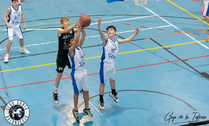 Castilla y León convoca a Luis Cerezo, del Soria Baloncesto, para el Campeonato de España