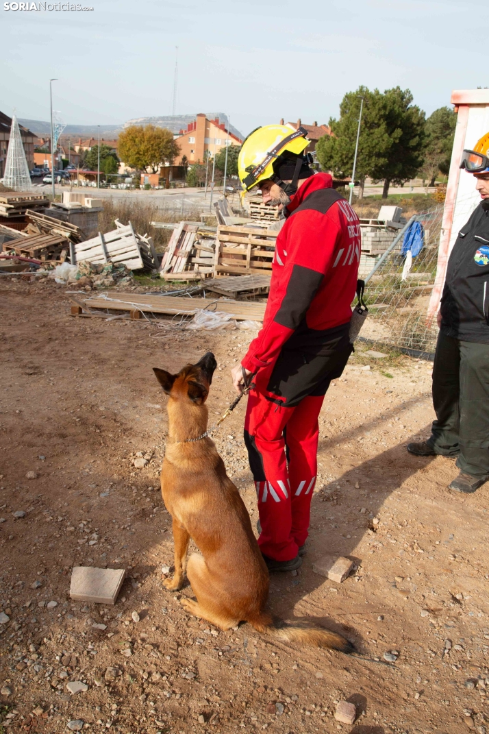 Exhibición canina en Golmayo