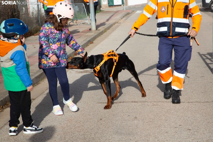 Exhibición canina en Golmayo