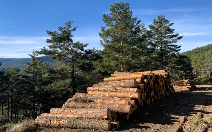 Castilla y León convoca ayudas por 1 M&euro; para mejorar la formación de los sectores agrario, forestal y agroalimentario