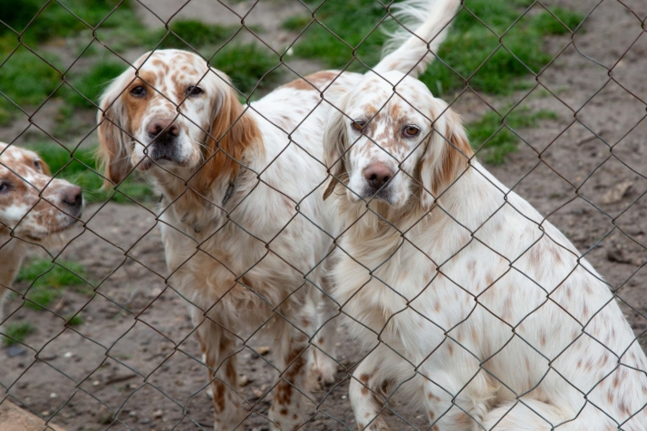 Sin precipitaciones para el día de la Constitución