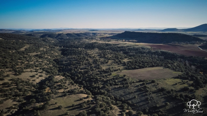 Esta semana quedarán concretadas las juntas gestoras de montes de socios en La Alameda-Deza y Peñalcázar-La Quiñonería