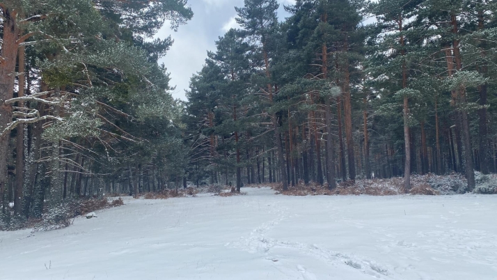 Nevada del 9 de diciembre de 2024 en el entorno de la Laguna Negra.