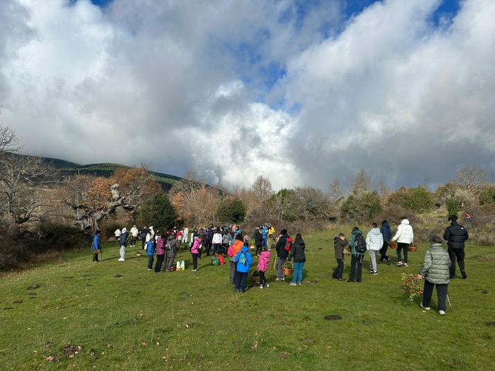 Gran &eacute;xito de participaci&oacute;n en la X jornada del acebo en la P&oacute;veda