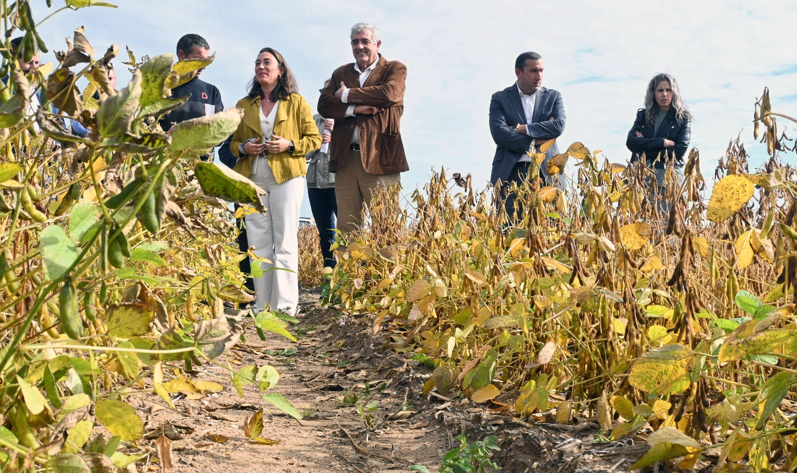 La soja, un cultivo alternativo de regadío y de interés para la industria transformadora de Castilla y León