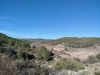 Foto 1 - Cesefor pone en marcha el primer curso de selvicultura de cubierta continua para promover la gestión forestal adaptativa 