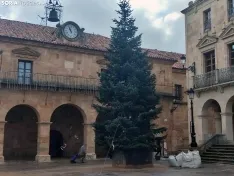 Una imagen de las labores hoy jueves. /SG