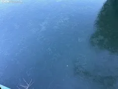 Una imagen del río hoy miércoles. /Pedro Lafuente