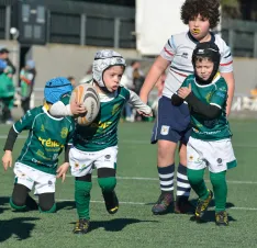 Foto 6 - Escuelas y Touch Rugby protagonizan un gran d&iacute;a para el Ingenieros en Zaragoza