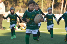 Foto 5 - Escuelas y Touch Rugby protagonizan un gran día para el Ingenieros en Zaragoza