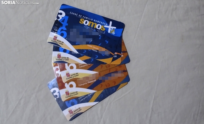 El nuevo sistema de reconocimiento de familias numerosas en Castilla y León: más rápido y sencillo