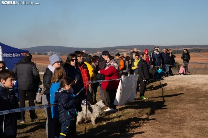 Cross de Los Llamosos 2025