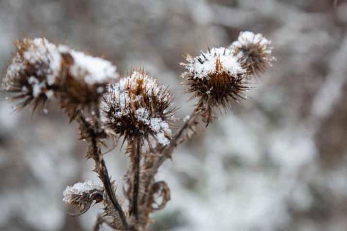 Continúa el aviso amarillo por viento y mañana vuelve a activarse otro por nevadas
