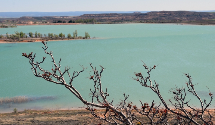 Las reservas de agua en Monteagudo de las Vicarías mejoran notablemente respecto a 2025