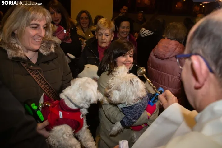 Mascotas San Antón