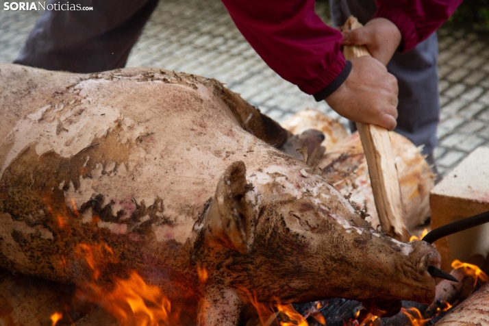 Matanzas Navaleno 2025