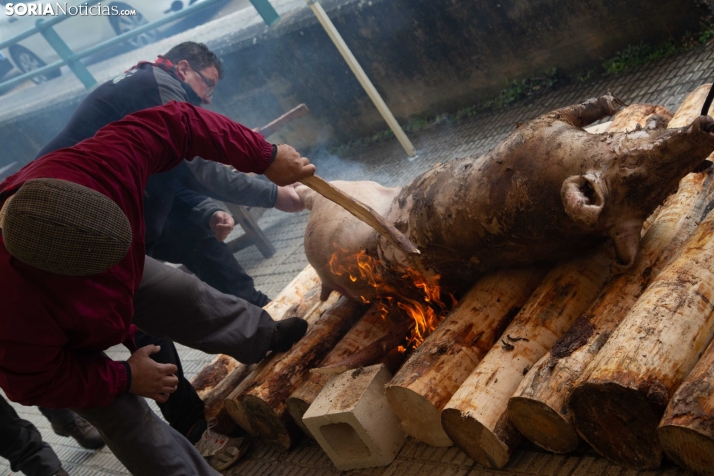 Matanzas Navaleno 2025